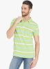 Globus_Green_Striped_Polo_T_Shirt.jpg