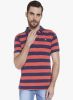 Globus_Red_Striped_Polo_T_Shirt_1.jpg
