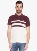 Globus_White_Striped_Polo_T_Shirt.jpg