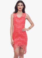 Faballey Pink Lace Bodycon Dress