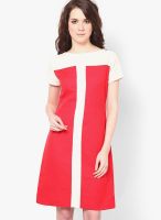I Know Short Sleeve Red Dress