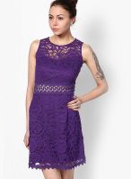 New Look Purple Colored Solid Shift Dress