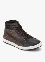 Phosphorus Brown Sneakers By ADPC