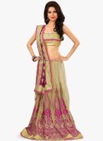 Xclusive Chhabra Multicoloured Embroidered Saree