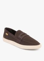 U.S. Polo Assn. Brown Loafers