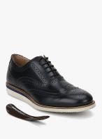 Language Navy Blue Lifestyle Shoes