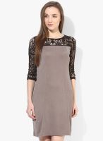 AND Grey Colored Solid Shift Dress