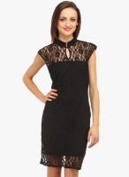 Cottinfab Black Colored Embroidered Bodycon Dress