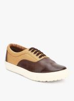 Knotty Derby Alecto Oxford Brown Lifestyle Shoes