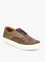 Knotty Derby Alecto Oxford Brown Lifestyle Shoes