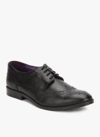 Knotty Derby Oliver Wing Cap Black Brogue Lifestyle Shoes