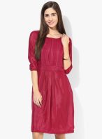 Park Avenue Magenta Colored Solid Shift Dress