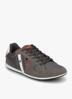 SPARX Grey Sneakers