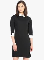 The Vanca Black Colored Solid Shift Dress