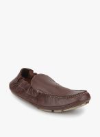 Turtle Brown Loafers