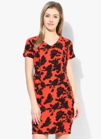 Van Heusen Red Colored Printed Shift Dress