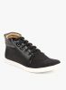 Knotty_Derby_Terry_Collar_Black_Lif.jpg
