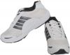 Magic_Tree_Running_Shoes_1.jpg