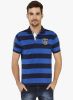The_Cotton_Company_Blue_Striped_Pol_2.jpg