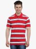 The_Cotton_Company_Red_Striped_Polo_2.jpg