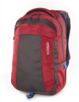 American Tourister Zing 2016 003 Laptop Backpack(Red)