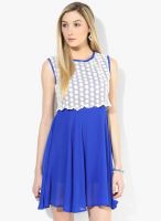 Calgari Blue Colored Embroidered Skater Dress