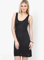 Calvin Klein Jeans Black Colored Embellished Bodycon Dress