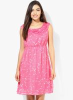 Honey By Pantaloons Pink Colored Printed Shift Dress