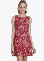 MEIRO Maroon Colored Printed Shift Dress