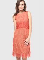 Soie Orange Colored Embroidered Shift Dress