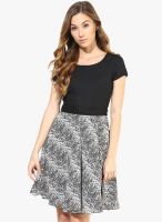 The Vanca Black Colored Printed Skater Dress