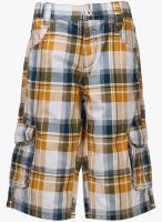U.S. Polo Assn. Multicoloured Shorts