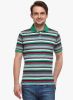 WYM_Multi_Colored_Striped_Polo_T_Sh_1.jpg