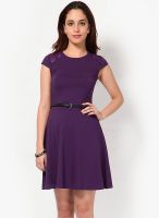 Harpa Purple Colored Solid Skater Dress