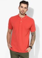 Tom Tailor Red Solid Polo T-Shirt