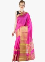 Xclusive Chhabra Pink Striped Saree