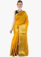 Xclusive Chhabra Yellow Striped Saree