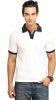 Fio_Solid_Men_s_Polo_Neck_T_Shirt_1.jpg