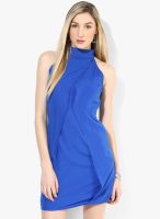 Calgari Blue Colored Solid Shift Dress