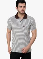 Cotton County Premium Brown Striped Polo T-Shirts
