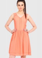 Femenino Peach Colored Solid Skater Dress