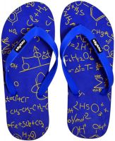 Funtoes Chemistry Slippers