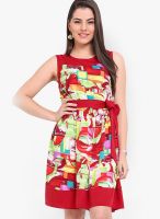 Palette Red Colored Printed Skater Dress