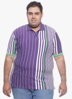 Pluss Multicoloured Striped Polo T-Shirt