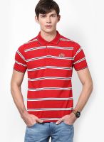 Proline Red Polo T-Shirt