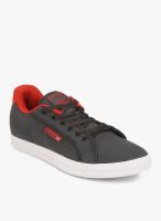 Reebok Court Grey Sneakers