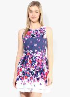 Superdry Blue Colored Printed Shift Dress