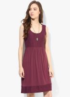 Tom Tailor Maroon Colored Solid Skater Dress