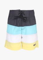 U.S. Polo Assn. Multicoloured Shorts