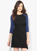 United Colors of Benetton Navy Blue Colored Solid Shift Dress